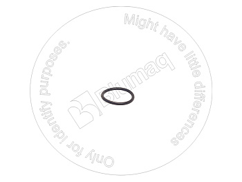 0965953 ST КОЛЬЦО КРУГЛОГО СЕЧЕНИЯ