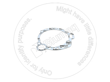 2S7924 BQ ПРОКЛАДКА
