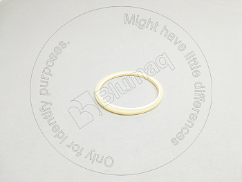 1540739 ST САЛЬНИК