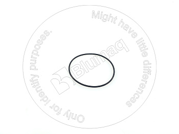 VOE13949647 ST КОЛЬЦО КРУГЛОГО СЕЧЕНИЯ