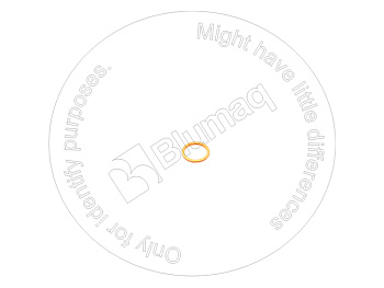 3007242X OR ЗАТВОР