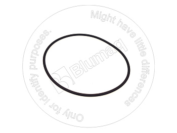 5H2674 ST КОЛЬЦО КРУГЛОГО СЕЧЕНИЯ