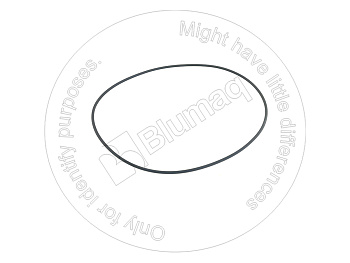 962789 ST КОЛЬЦО КРУГЛОГО СЕЧЕНИЯ