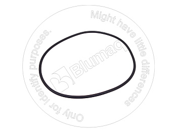 6V7703 ST КОЛЬЦО КРУГЛОГО СЕЧЕНИЯ