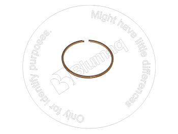 19M1321370 BQ КОЛЬЦО КРУГЛОГО СЕЧЕНИЯ