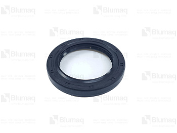 2959695 ST САЛЬНИК