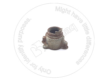 4D5245 OR КОЖУХ