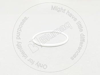 2P8234 ST САЛЬНИК