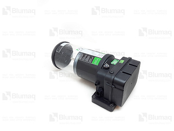 GBF618309 OE PUMP