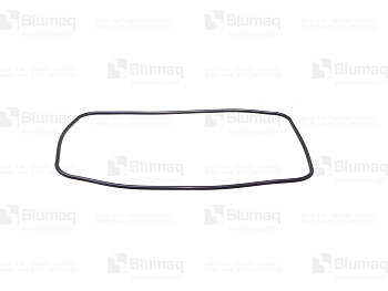 3055302 ST SEAL RACETRACK