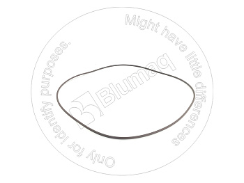 6V5059 ST КОЛЬЦО КРУГЛОГО СЕЧЕНИЯ