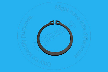 6V8344 OE КОЛЬЦО СТОПОРНОЕ