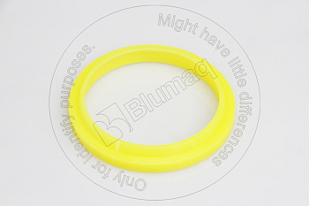 5J8016 ST САЛЬНИК