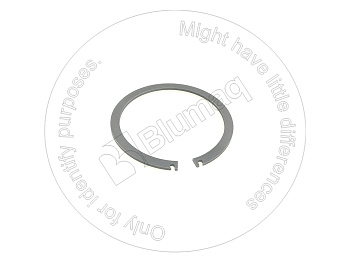 5P9506 OE КЛОЛЬЦО УПЛОТНИТЕЛЬНОЕ