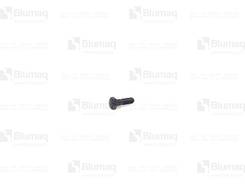 FT1012 ST БОЛТ БАШМАКА