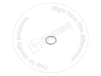 ND0901930060 OR КОЛЬЦО