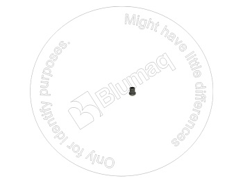 R902405843 OE КЛАПАН