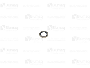 6V0406 ST САЛЬНИК