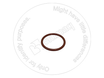 4362657 ST КОЛЬЦО КРУГЛОГО СЕЧЕНИЯ