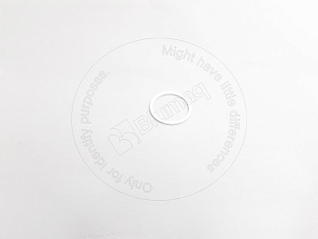 4J8266 ST САЛЬНИК