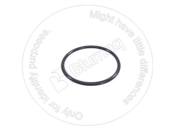 931346 OR O-RING MS1