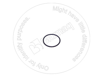 VOE20450993 ST САЛЬНИК