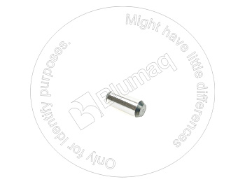 PZF802540120 OE ШТИФТ