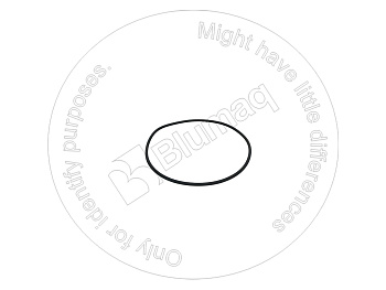 0782020 ST КОЛЬЦО КРУГЛОГО СЕЧЕНИЯ