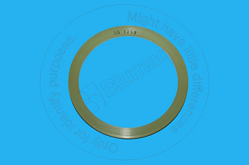 3G1259 ST САЛЬНИК