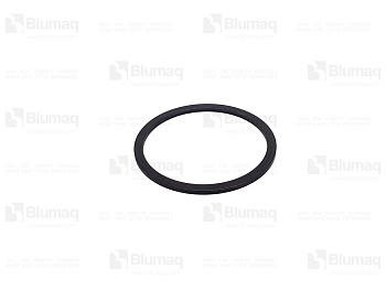 4550728 OE ШАЙБА