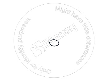 5P3944 ST КОЛЬЦО КРУГЛОГО СЕЧЕНИЯ
