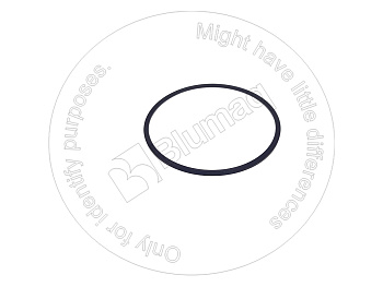 7073531210 OE RING