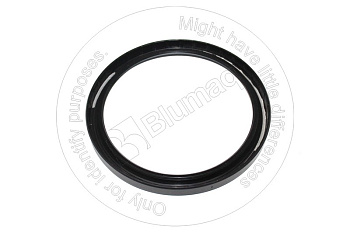 VOE3825169 ST УПЛОТНИТЕЛЬНОЕ КОЛЬЦО
