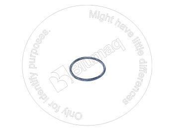 951551 ST КОЛЬЦО КРУГЛОГО СЕЧЕНИЯ
