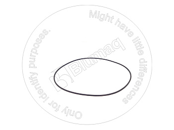 VOE11989818 BQ САЛЬНИК