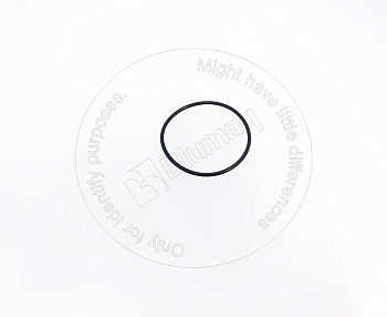 5W4883 ST КОЛЬЦО КРУГЛОГО СЕЧЕНИЯ