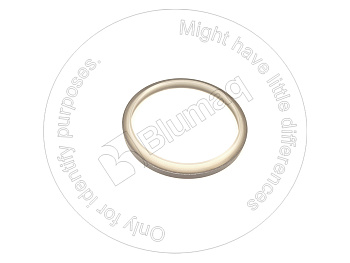 5137981 ST САЛЬНИК