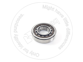 0604300311 OE ROLLER BEARING