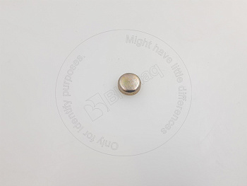 0952007 ST КОЖУХ