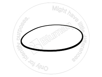 1237265 ST САЛЬНИК