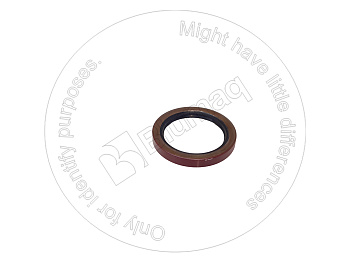 4B4967 ST САЛЬНИК