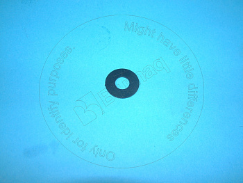 6N8195 BQ ШАЙБА