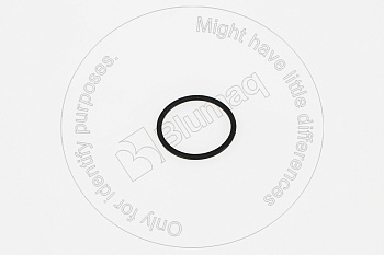 5P7529 ST ЗАЩИТНОЕ КОЛЬЦО