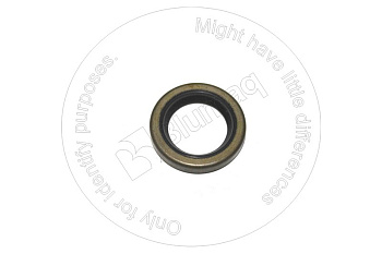 3K2593 ST САЛЬНИК