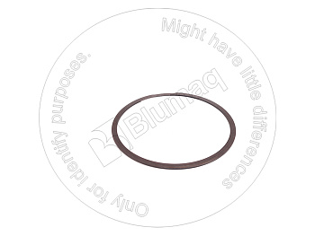 5P9928 ST КОЛЬЦО