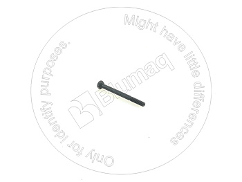 0818199 OE БОЛТ
