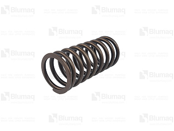 1W1749 ST ПРУЖИНА