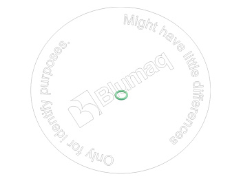 VOE976824 ST КОЛЬЦО КРУГЛОГО СЕЧЕНИЯ