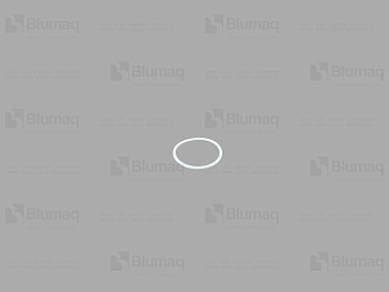 4205767 OR КОЛЬЦО УПЛОТНИТЕЛЬНОЕ
