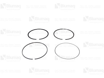 6252312030 ST PISTON RING ASS